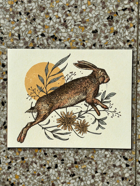 Desirée Mae Studio - 8x10 Print - Golden Hour Hare (STORE PICK UP ONLY)
