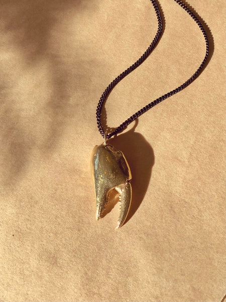 MADE IN Jewelry - Large Crab Claw Necklace