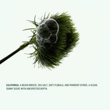 Corpus - Deodorant Stick - California