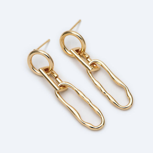 Long Oval and Circle Link Earrings