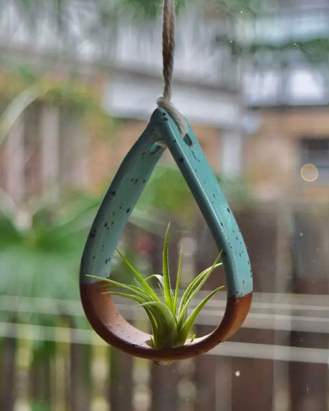 hanging air plant holders Irvington Ceramics