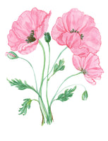 Little Dove Prints - Pink Poppies 8x10 Print