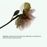 Corpus - Deodorant Stick - Third Rose