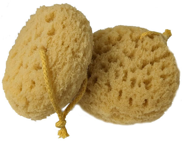 foam bath sponge