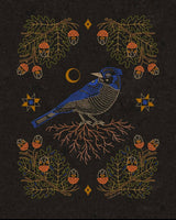 Land + She - Blue Jay and the Acorns 8x10 Print