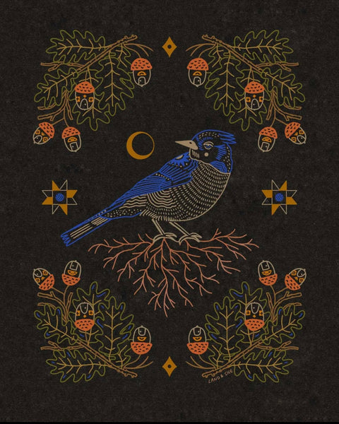 Land + She - Blue Jay and the Acorns 8x10 Print