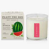 Kobo “Plant The Box” Candle - Ripe Watermelon