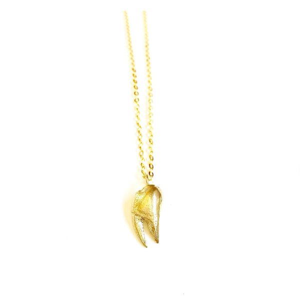 MADE IN Jewelry - Tiny Crab Claw Necklace