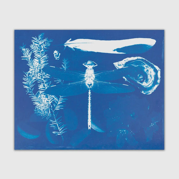 Tender Loving Empire - Cyanotype #2 Print 8x10”