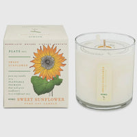 Kobo “Plant The Box” Candle - Sweet Sunflower