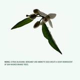 Corpus - Deodorant Stick - Neroli