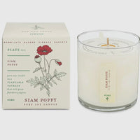 Kobo “Plant The Box” Candle - Siam Poppy