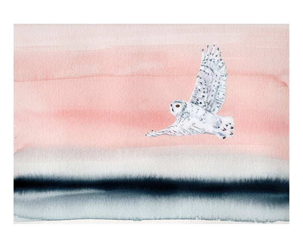 Little Dove Prints - Snow Owl Sunrise 8x10 Print