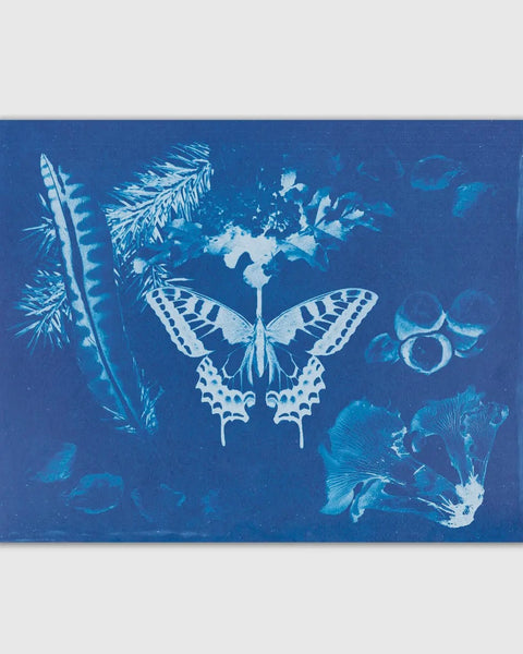 Tender Loving Empire - Cyanotype #1 Print 8x10”