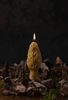 Beeswax Morel Candle