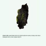 Corpus - Deodorant Stick - Cedar Flora