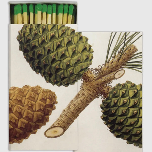 Novelty Matches - Pinecones