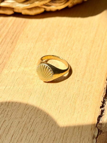 MADE IN Jewelry - Seashell Ring