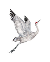 Little Dove Prints - Flying Crane 8x10 Print