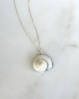 Lauren Landa - White Turbo Shell Necklace