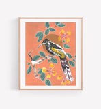 Persika Design Co. - “Hawaiian Bird Botanical” - 11” x 14” (STORE PICK UP ONLY)