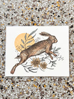 Desirée Mae Studio - 8” x 10” Print - Golden Hour Hare (STORE PICK UP ONLY)