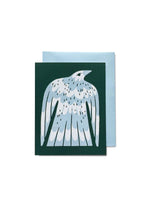 Wit and Co. - Bird Greeting Card