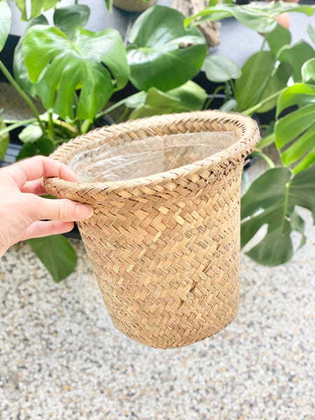 6" Seagrass Plant Basket with Plastic Liner (STORE PICKUP ONLY)